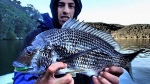 bassbandit's Avatar
