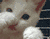 shufoy's Avatar