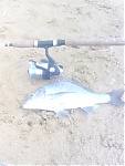 fisher15's Avatar