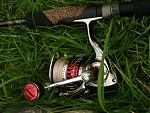 Bullfrog's Avatar