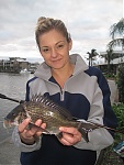 KrisBream's Avatar