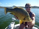 the real trout's Avatar